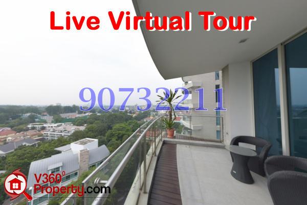 The Solitaire thumbnail photo